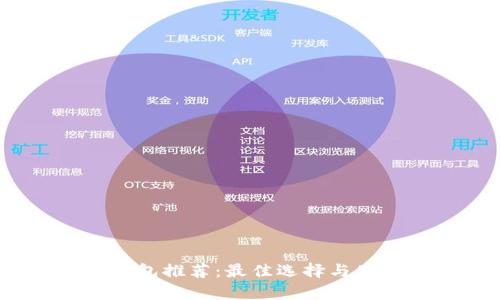 中国USDT钱包推荐：最佳选择与使用体验分析