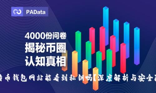 比特币钱包网站能看到私钥吗？深度解析与安全隐患