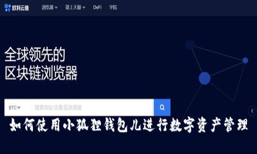 如何使用小狐狸钱包儿进行数字资产管理