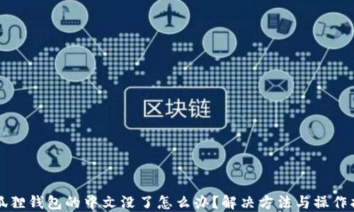 
小狐狸钱包的中文没了怎么办？解决方法与操作指南