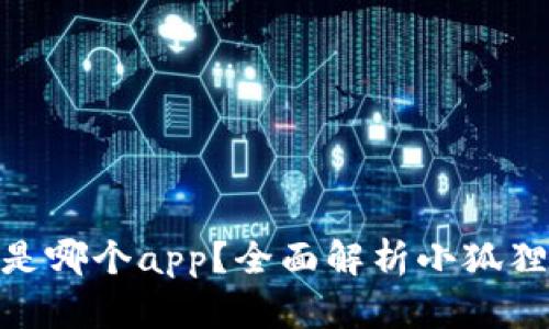 : 小狐狸钱包官网是哪个app？全面解析小狐狸钱包的功能与优势