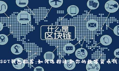 USDT钱包推荐：如何选择适合你的数字货币钱包