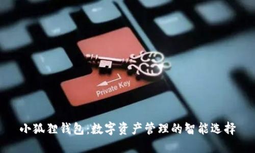 小狐狸钱包：数字资产管理的智能选择