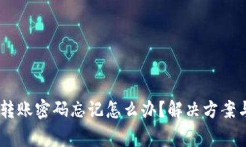 USDT钱包转账密码忘记怎么办？解决方案与注意事项
