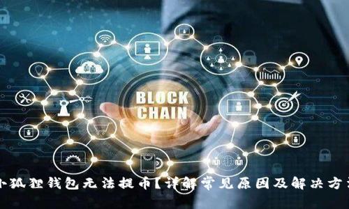小狐狸钱包无法提币？详解常见原因及解决方法