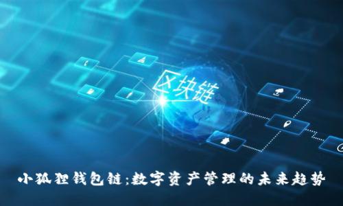 小狐狸钱包链：数字资产管理的未来趋势