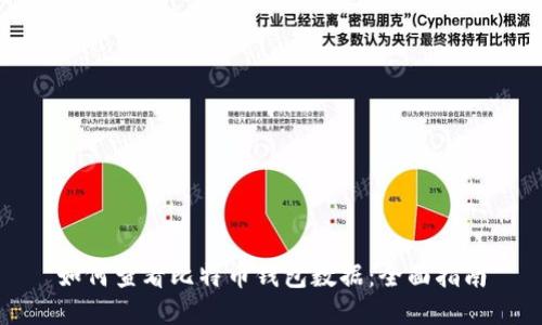 如何查看比特币钱包数据：全面指南