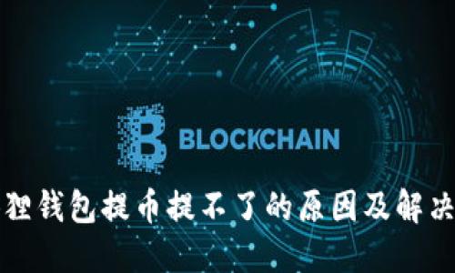 小狐狸钱包提币提不了的原因及解决方法