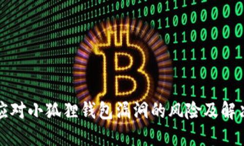 如何应对小狐狸钱包漏洞的风险及解决方案