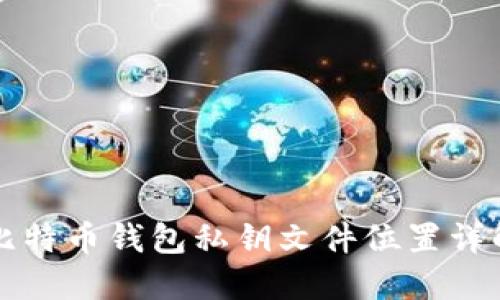 比特币钱包私钥文件位置详解