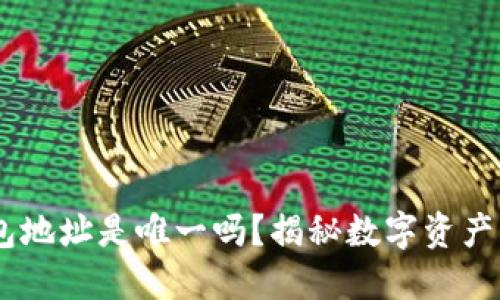 Token 钱包地址是唯一吗？揭秘数字资产钱包的本质