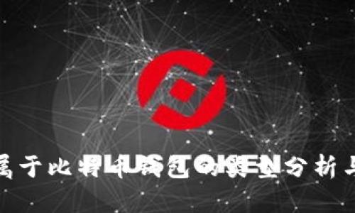 : 不属于比特币钱包的类型分析与说明