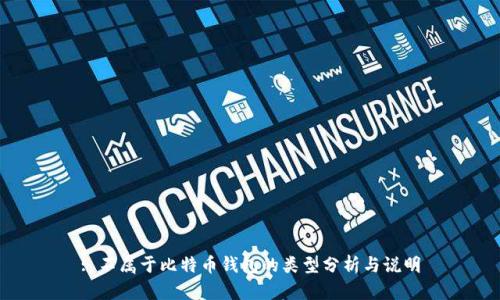 : 不属于比特币钱包的类型分析与说明