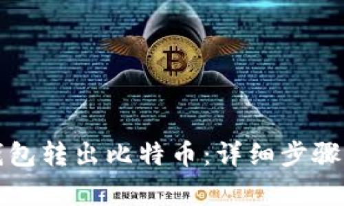 怎样从冷钱包转出比特币：详细步骤与注意事项