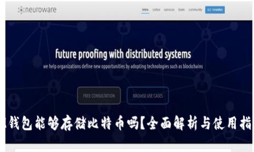 IM钱包能够存储比特币吗？全面解析与使用指南