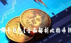 大家都用比特币哪个钱包