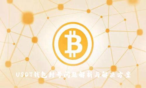 USDT钱包封号问题解析与解决方案