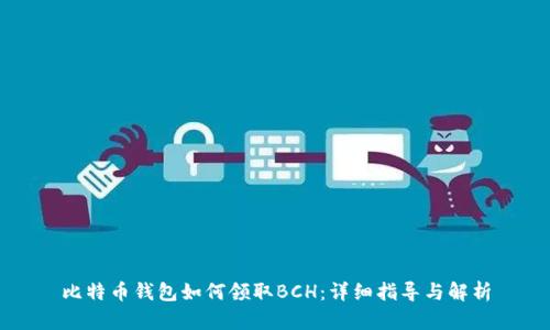 比特币钱包如何领取BCH：详细指导与解析