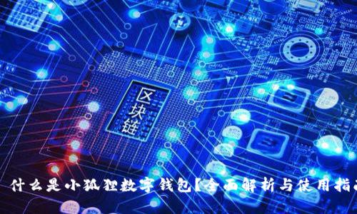 : 什么是小狐狸数字钱包？全面解析与使用指南