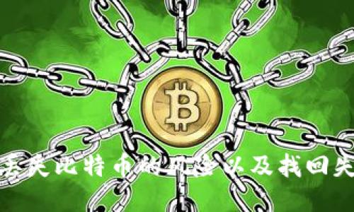 如何避免冷钱包丢失比特币的风险以及找回失踪比特币的攻略