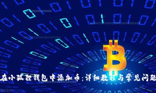 如何在小狐狸钱包中添加币：详细教程与常见问题解答