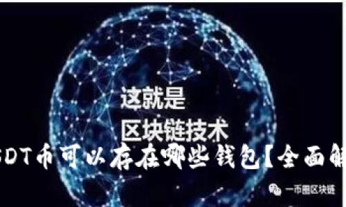 USDT币可以存在哪些钱包？全面解析