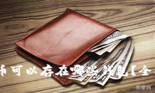 USDT币可以存在哪些钱包？全面解析