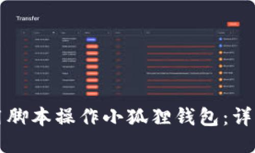 如何用脚本操作小狐狸钱包：详细指南
