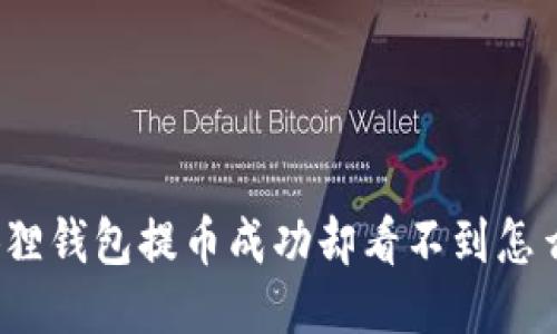 小狐狸钱包提币成功却看不到怎么办？