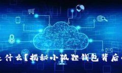 小狐狸钱包是什么？揭秘