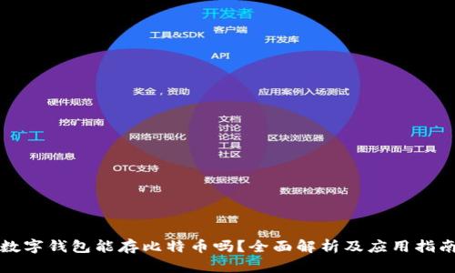 数字钱包能存比特币吗？全面解析及应用指南