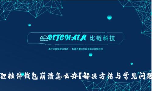 小狐狸插件钱包崩溃怎么办？解决方法与常见问题详解