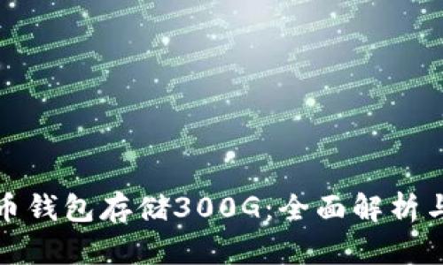 比特币钱包存储300G：全面解析与策略