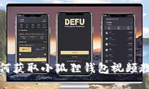 如何获取小狐狸钱包视频教程