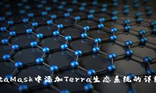 在MetaMask中添加Terra生态系统的详细指南
