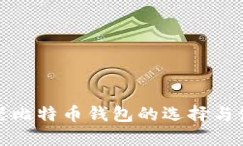 : 浏览器比特币钱包的选择与使用指南