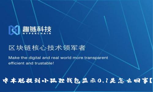 中本聪提到小狐狸钱包显示0.1是怎么回事？