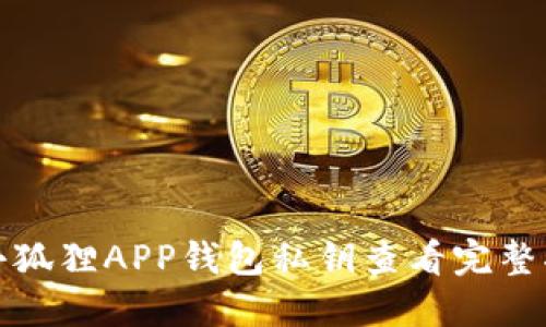 : 小狐狸APP钱包私钥查看完整指南