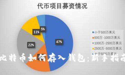 比特币如何存入钱包：新手指南