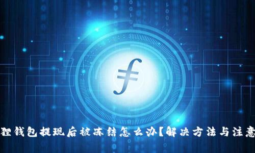 小狐狸钱包提现后被冻结怎么办？解决方法与注意事项