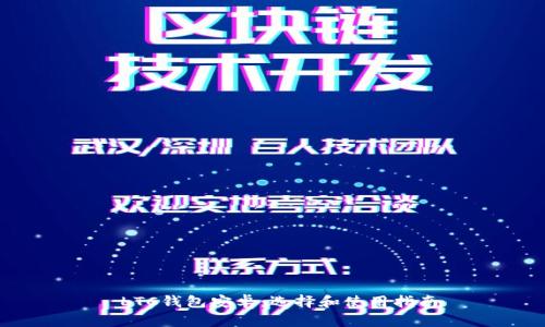  LTC钱包安卓：选择和使用指南