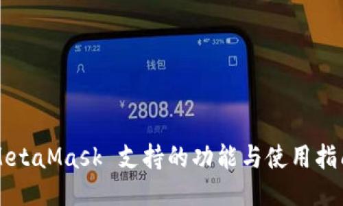 MetaMask 支持的功能与使用指南