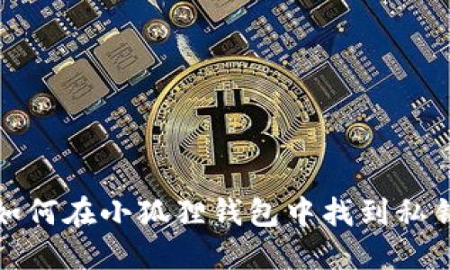 如何在小狐狸钱包中找到私钥