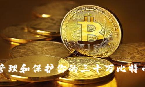 如何管理和保护你的三十万比特币钱包