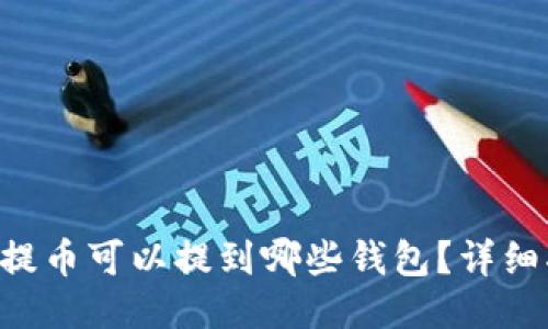 LTC提币可以提到哪些钱包？详细指南