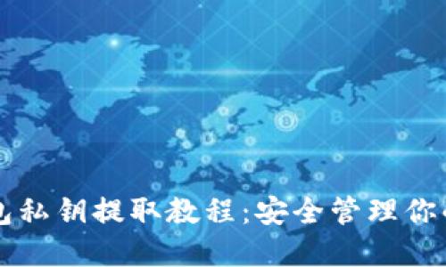 狗狗币钱包私钥提取教程：安全管理你的数字资产