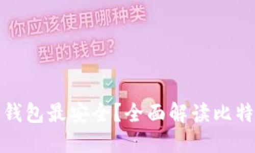 比特币官网哪个钱包最安全？全面解读比特币钱包的安全性