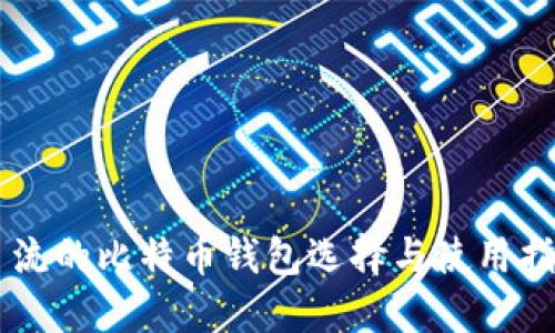 主流的比特币钱包选择与使用指南