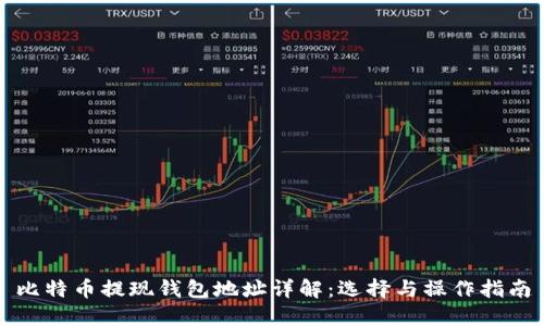 比特币提现钱包地址详解：选择与操作指南