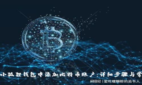 如何在小狐狸钱包中添加比特币账户：详细步骤与常见问题